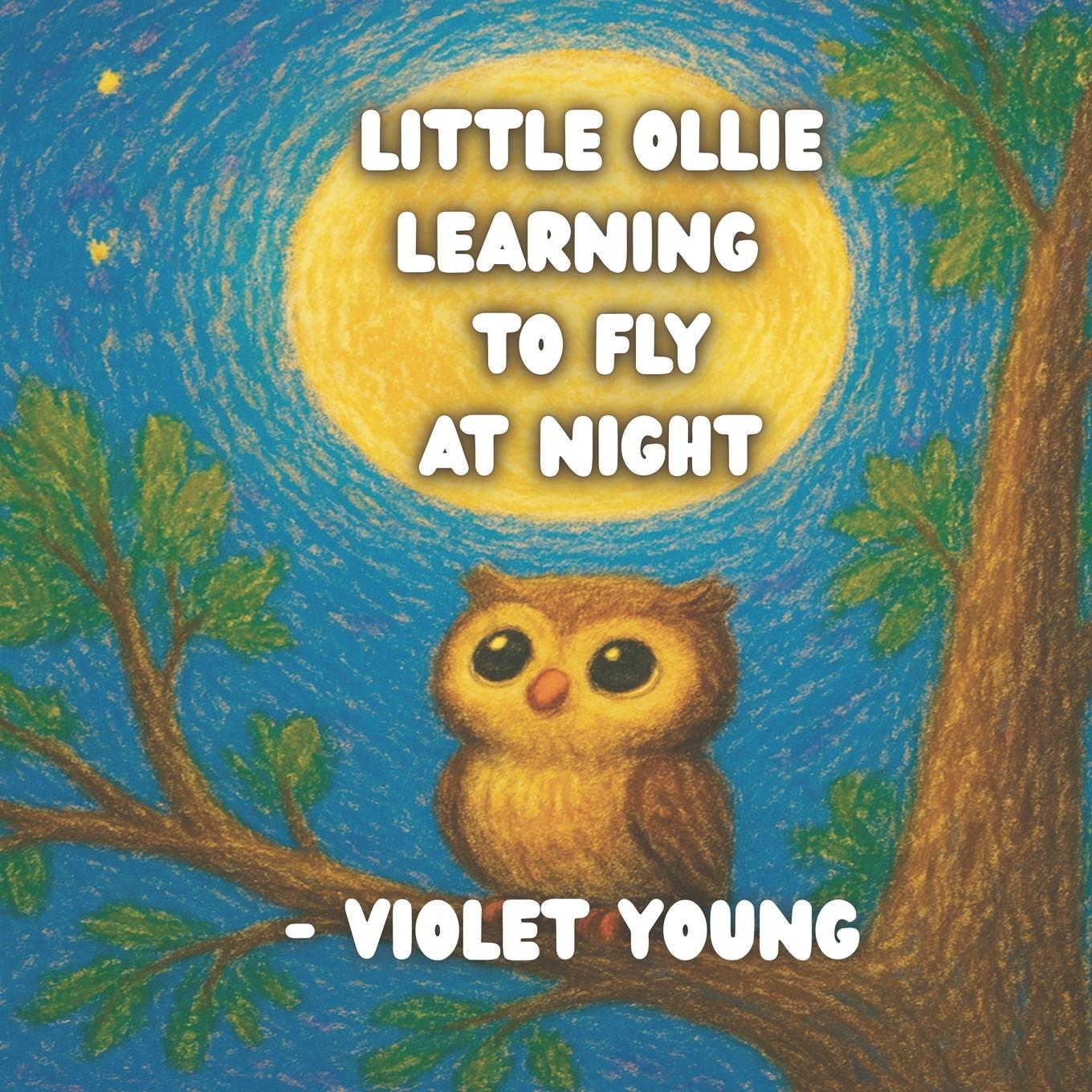 Könyv Little Ollie Learning to Fly at Night 