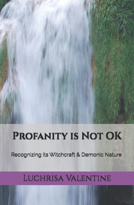 Kniha Profanity is Not OK Luchrisa Valentine