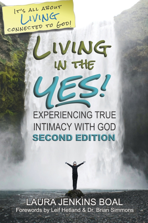 Knjiga Living In The YES! Laura Jenkins Boal