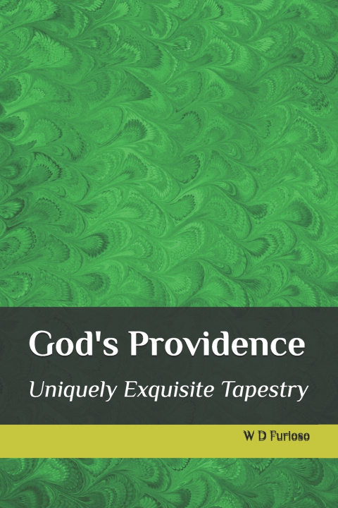 Книга God's Providence W D Furioso