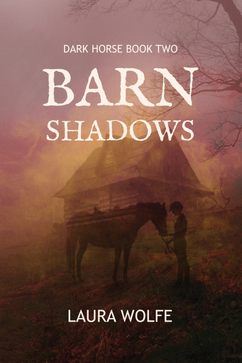 Carte BARN SHADOWS Laura Wolfe