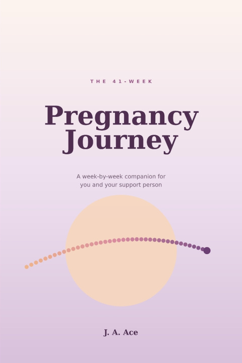 Boek The 41-Week Pregnancy Journey Omotola Ahanobi
