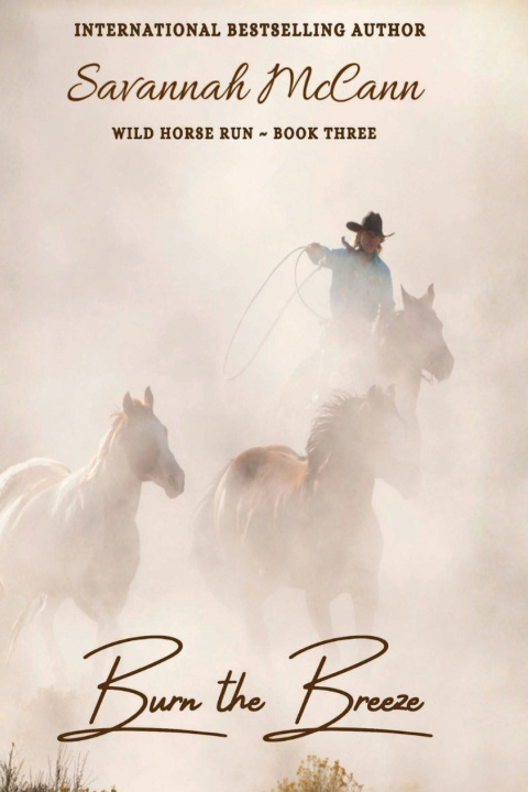 Kniha Burn the Breeze Savannah McCann