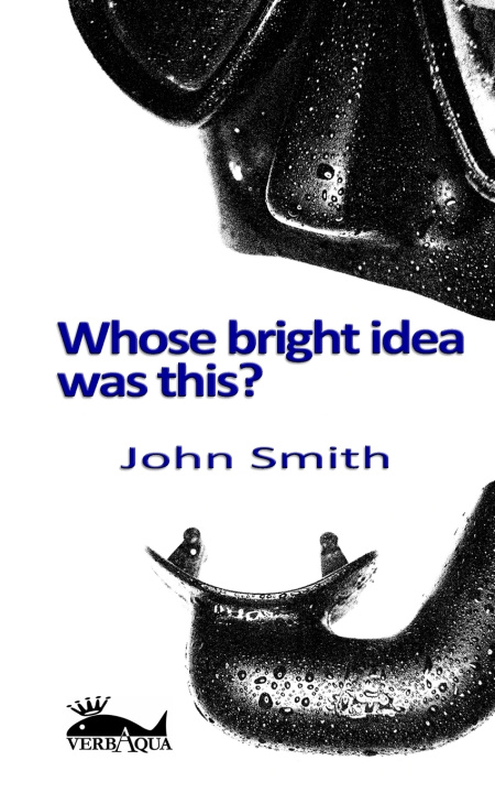 Kniha Whose bright idea was this? Marco Benedet