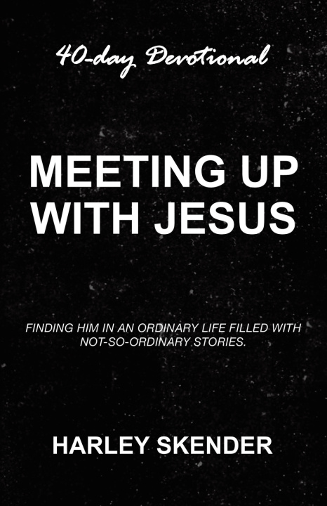 Книга Meeting Up with Jesus Harley Skender