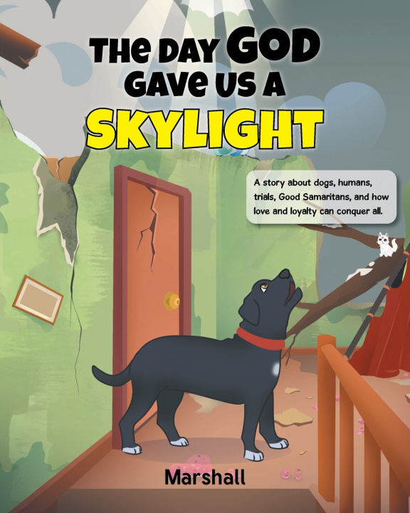 Knjiga The Day God Gave Us A Skylight Marshall