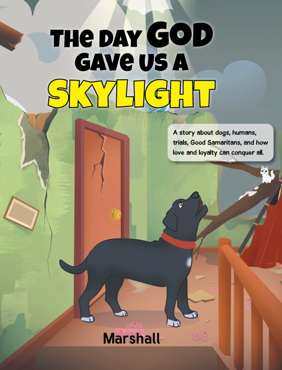 Libro The Day God Gave Us A Skylight Marshall