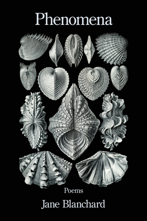 Kniha Phenomena Jane Blanchard
