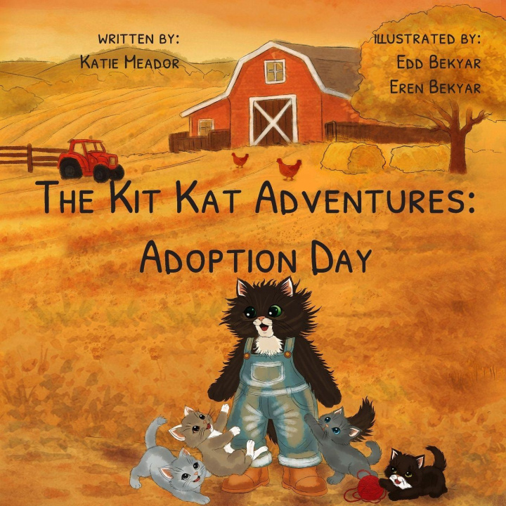 Boek The Kit Kat Adventures Katie Meador