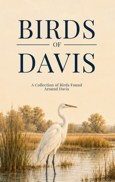 Könyv Birds of Davis Tala Guides