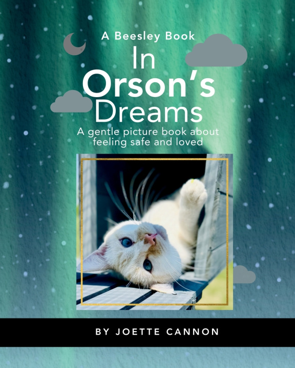 Könyv In Orson's Dreams Joette Cannon