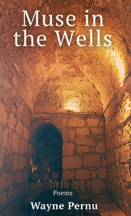 Libro Muse in the Wells Wayne Pernu