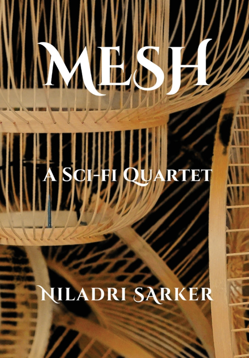 Könyv Mesh Niladri Sarker