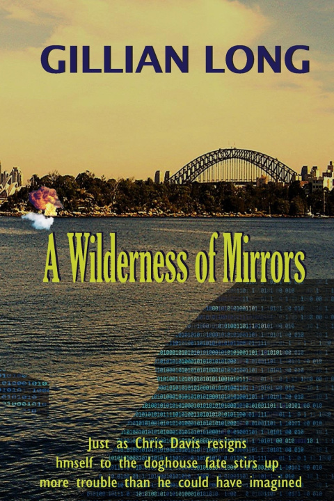 Könyv A Wilderness of Mirrors Gillian A Long