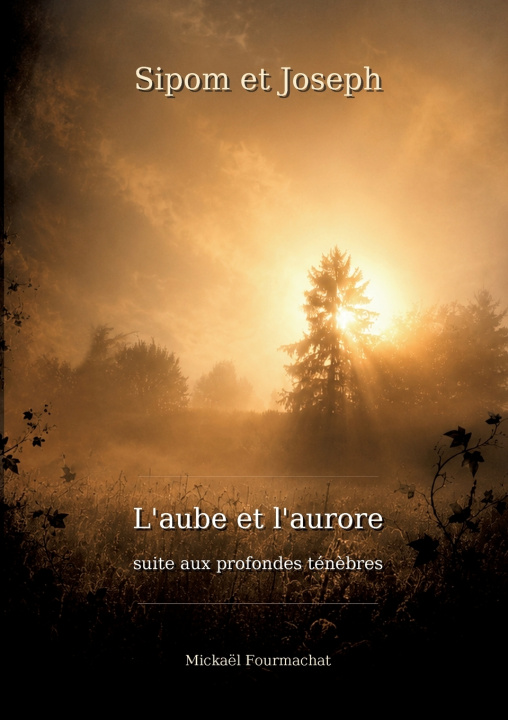 Buch SIPOM ET JOSEPH FOURMACHAT MICKAEL