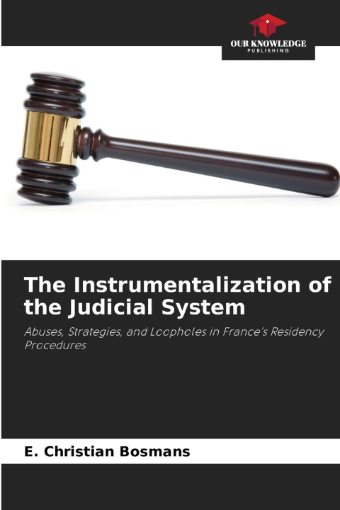 Buch The Instrumentalization of the Judicial System E. CHRISTIAN BOSMANS