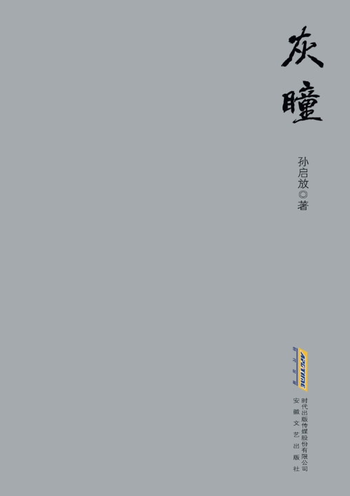 Book Gray Pupil/灰瞳 孙启放