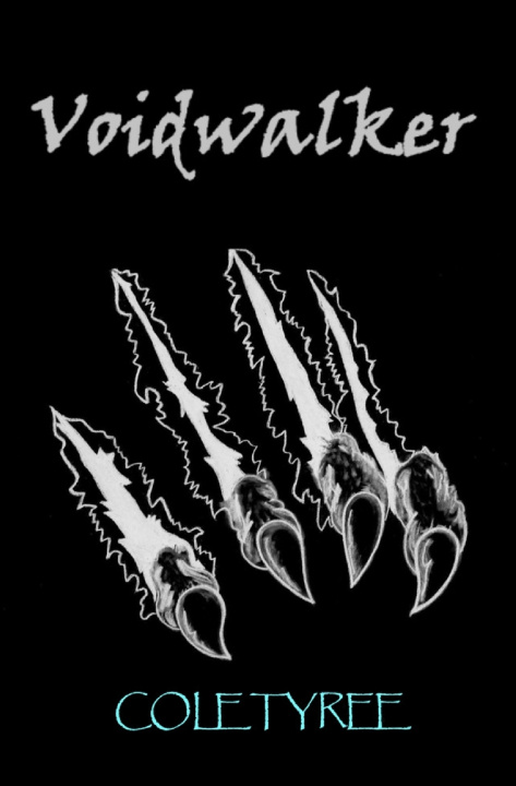 Kniha Voidwalker Cole Tyree