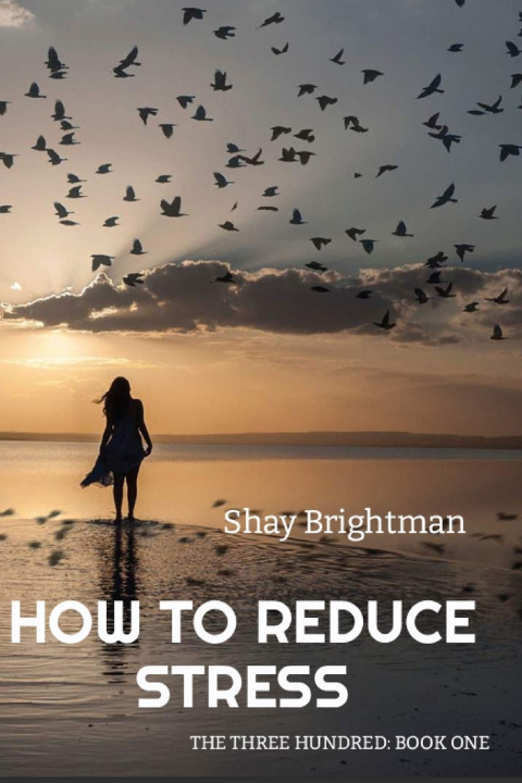 Книга HOW TO REDUCE STRESS Shay Brightman