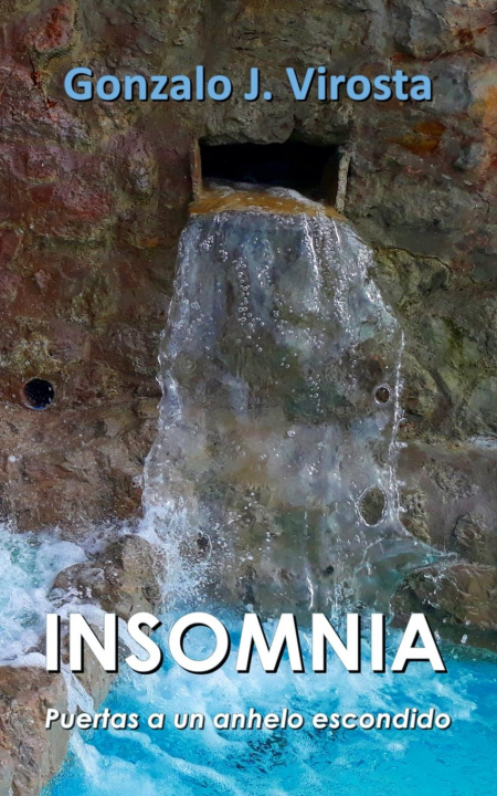 Buch INSOMNIA Gonzalo J. Virosta