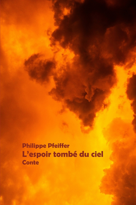 Boek L'espoir tombé du ciel Philippe Pfeiffer