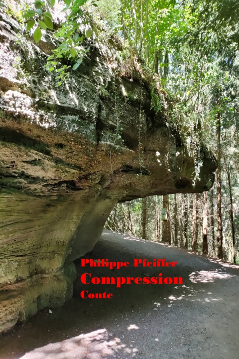 Kniha Compression Philippe Pfeiffer
