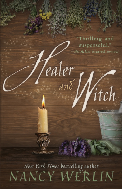Kniha Healer and Witch Nancy Werlin
