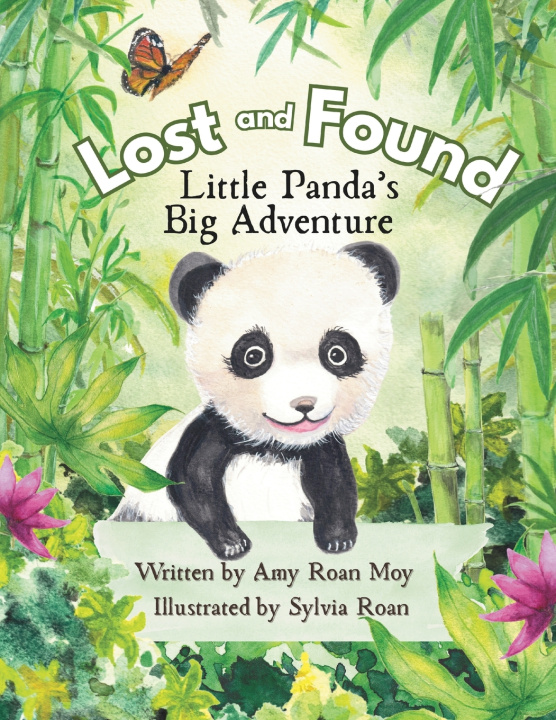 Kniha Lost and Found Amy Roan Moy