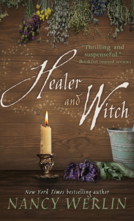 Buch Healer and Witch Nancy Werlin