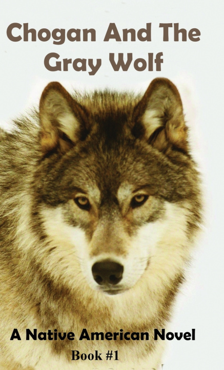 Книга Chogan and the Gray Wolf Larry Buege