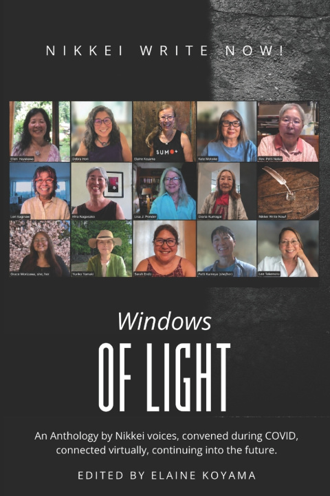 Книга Windows of Light Sarah Endo