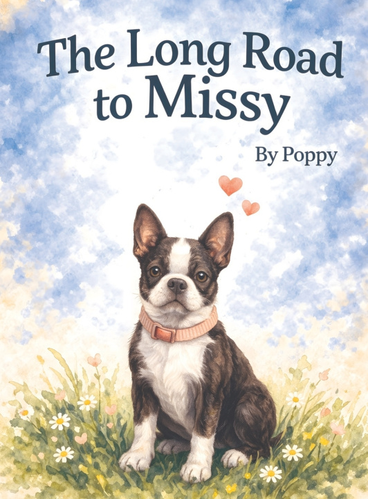 Kniha The Long Road to Missy Jeff Whelchel
