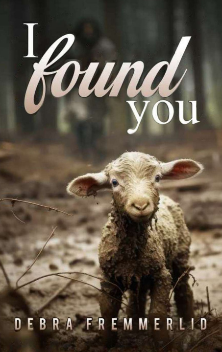 Книга I Found You Debra Fremmerlid