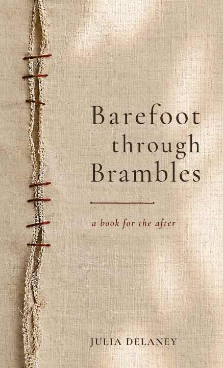 Könyv Barefoot Through Brambles Julia Delaney