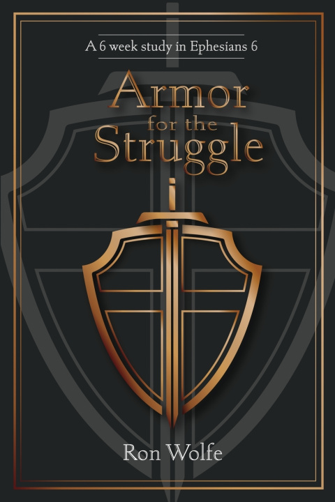 Libro Armor for the Struggle Ron Wolfe