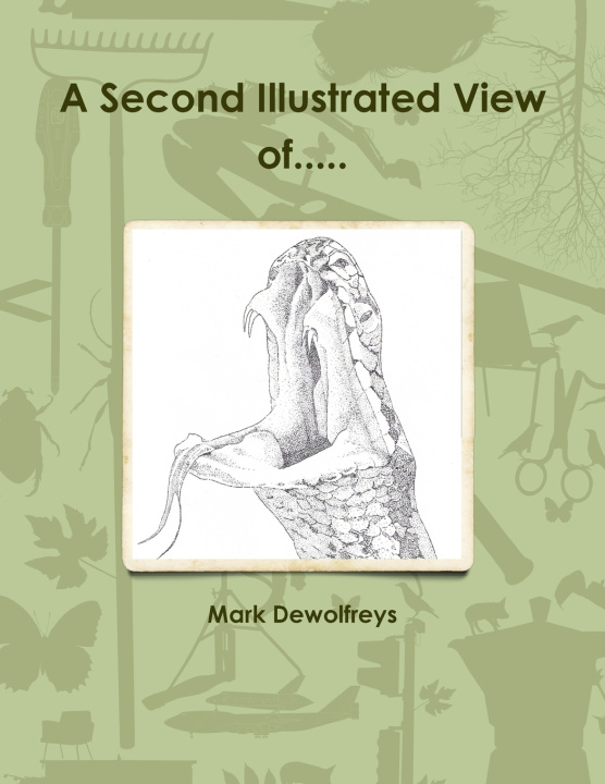 Книга A Second Illustrated View of..... Mark Dewolfreys