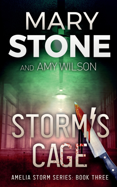 Kniha Storm's Cage Mary Stone