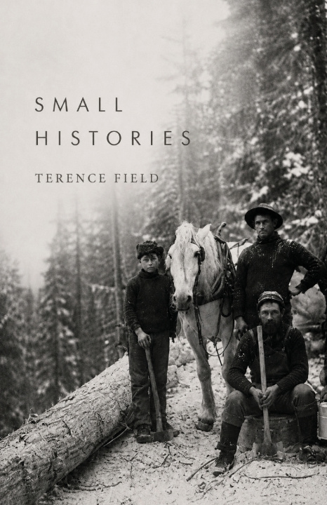 Kniha Small Histories Terence Field