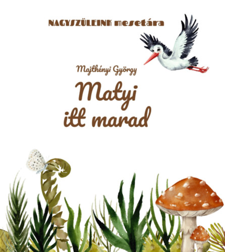 Könyv Matyi itt marad Majthényi György