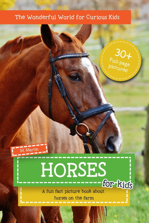 Carte Horses for Kids M Martin