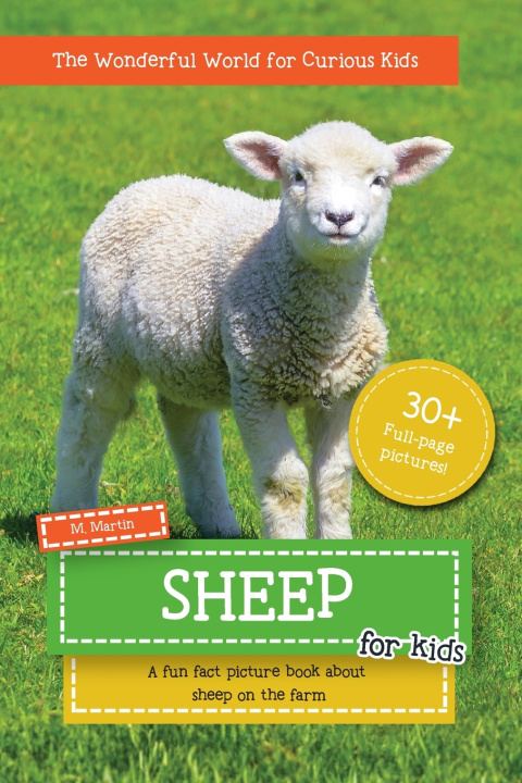 Kniha Sheep for Kids M Martin