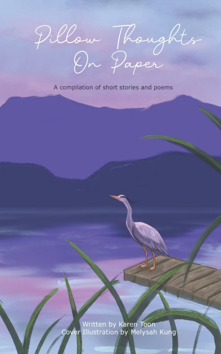 Książka Pillow Thoughts on Paper Karen Toon