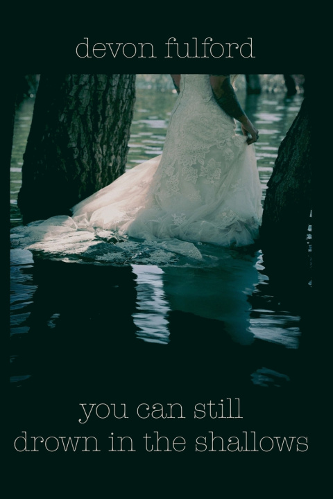 Knjiga you can still drown in the shallows Devon Fulford