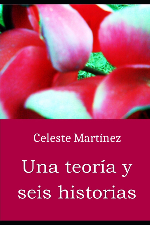Buch Una teoría y seis historias María Celeste Martínez Calvo