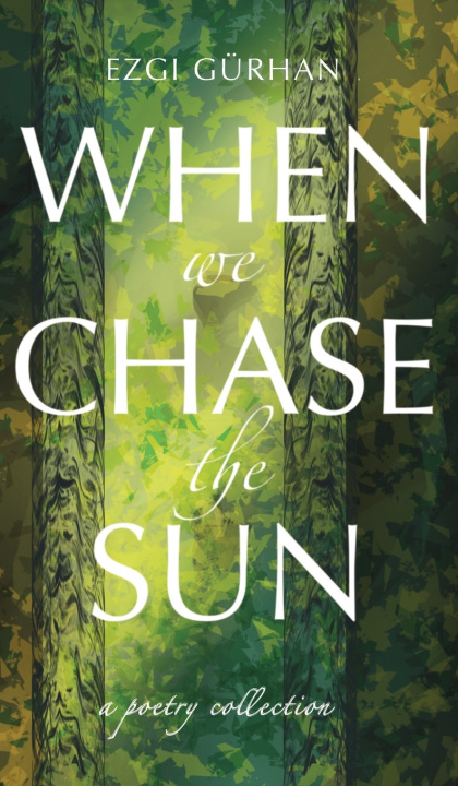 Book When We Chase the Sun Ezgi Gurhan