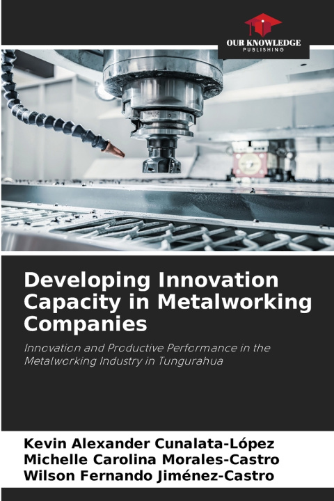Buch Developing Innovation Capacity in Metalworking Companies Kevin Alexander Cunalata-López