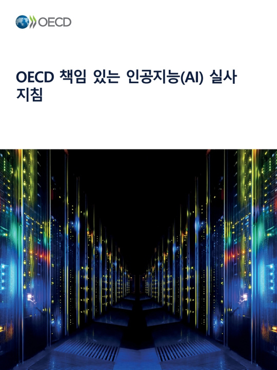 Buch OECD 책임 있는 인공지능(AI) 실사 지침 OECD