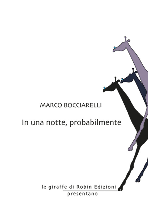 Boek In una notte, probabilmente Marco Bocciarelli