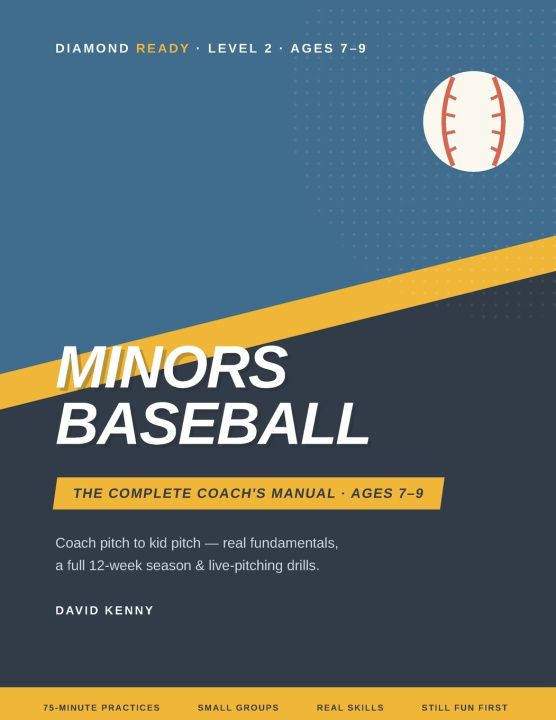 Book Minors Baseball DAVID KENNY