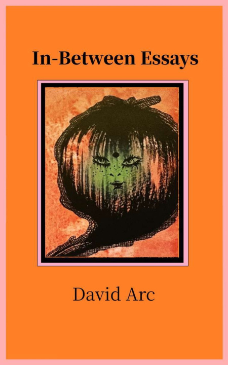 Book In-Between Essays David Arc